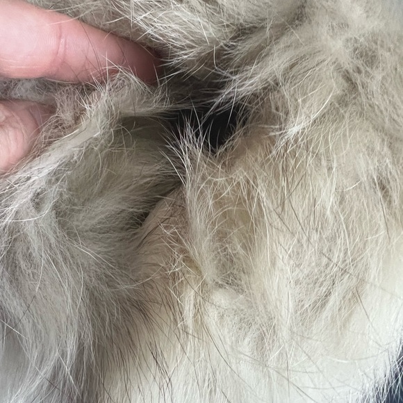 Vintage Saga Fox SILVER BLUE FOX Fur Coat Jacket Woman’s Medium Korea - Picture 6 of 15